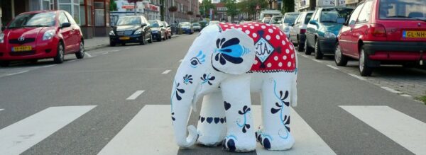 olifant op zebrapad